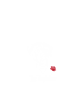 Cane Corso - The Dogfather minta fekete pólón