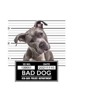 American staffordshire terrier - Bad Dog minta világoskék pólón