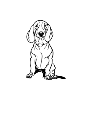 Tacskó Love minta világoskék pólón