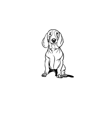 Tacskó Love minta fehér pólón