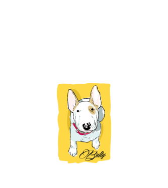 Bullterrier minta fehér pólón