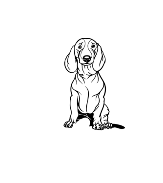 Tacskó Love minta fehér pólón