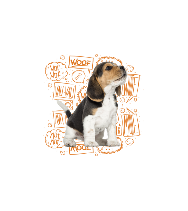 Beagle minta fehér pólón