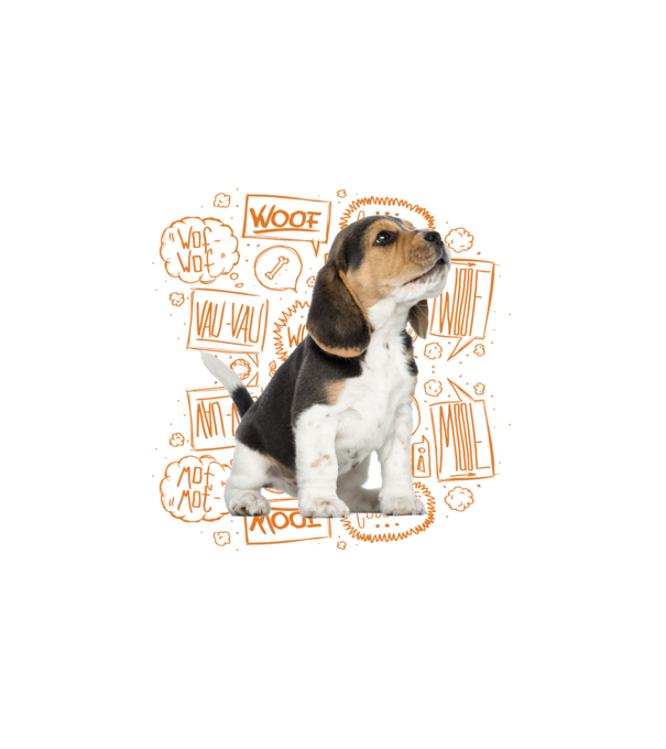 Beagle minta fehér pólón