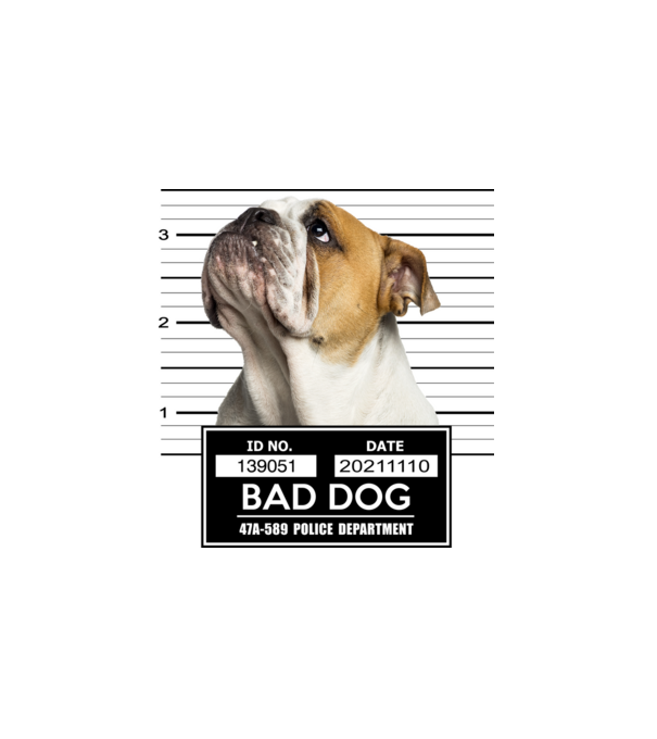 Angol Bulldog - Bad Dog minta fehér pólón