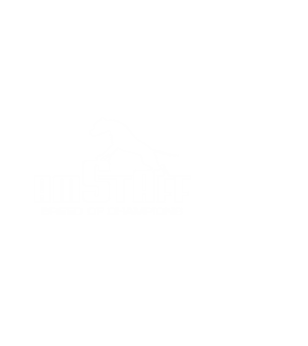 Amstaff Breed of Champions minta piros pólón