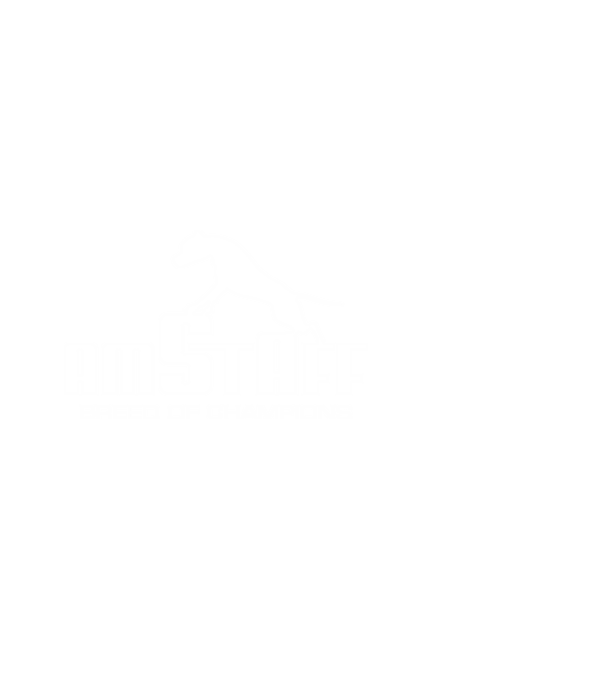 Amstaff Breed of Champions minta fehér pólón