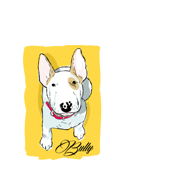 Bullterrier minta fehér pólón