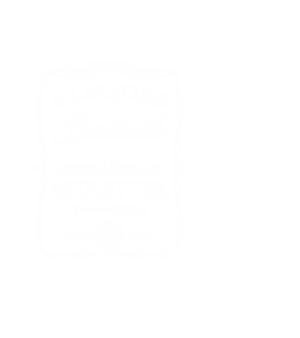 A legjobb barátnők februárban születtek minta fekete pólón