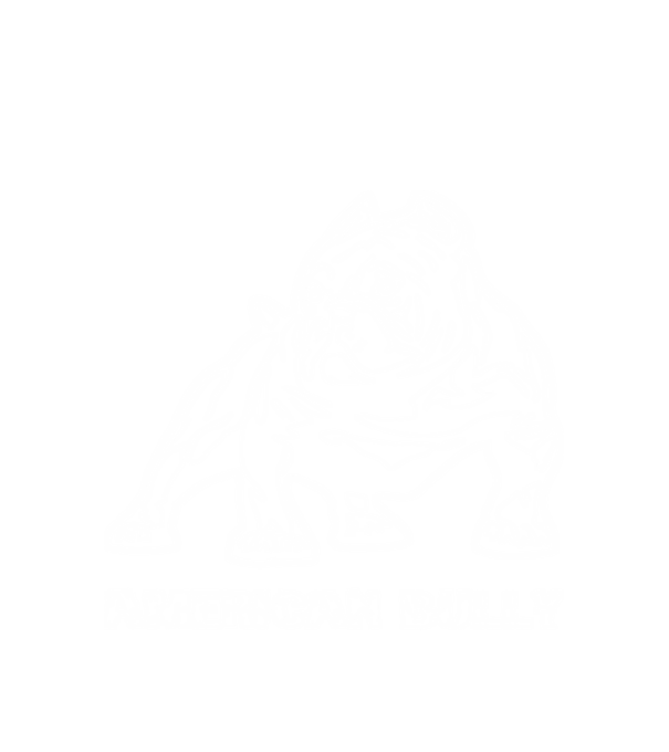 Amerikai Bully minta fehér pólón