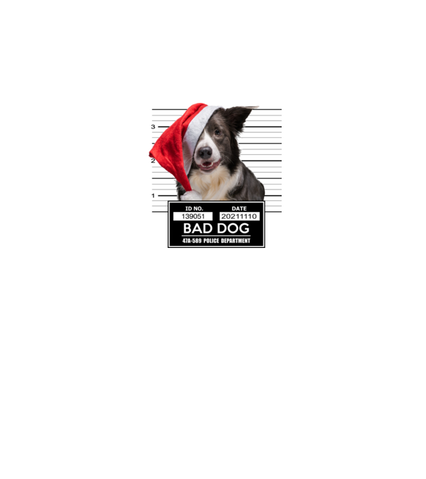 Border Collie - Bad Dog minta szürke pólón
