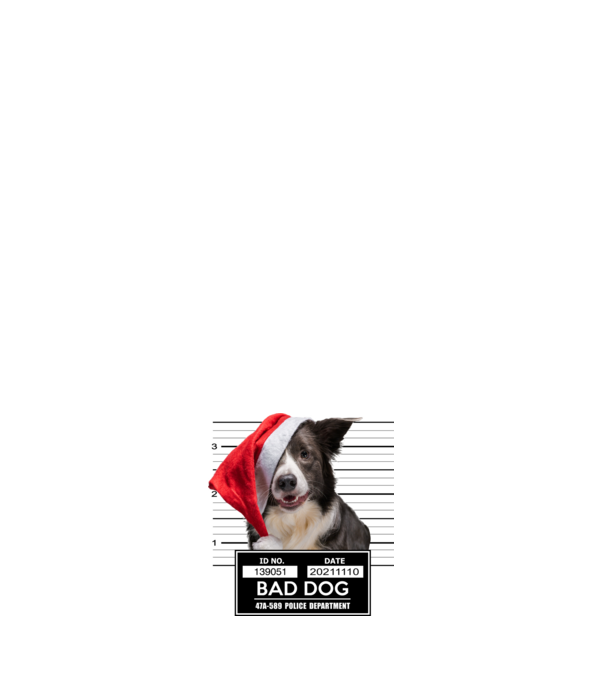 Border Collie - Bad Dog minta fehér pólón