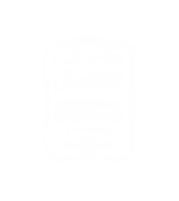 A legjobb barátnők februárban születtek minta fehér pólón