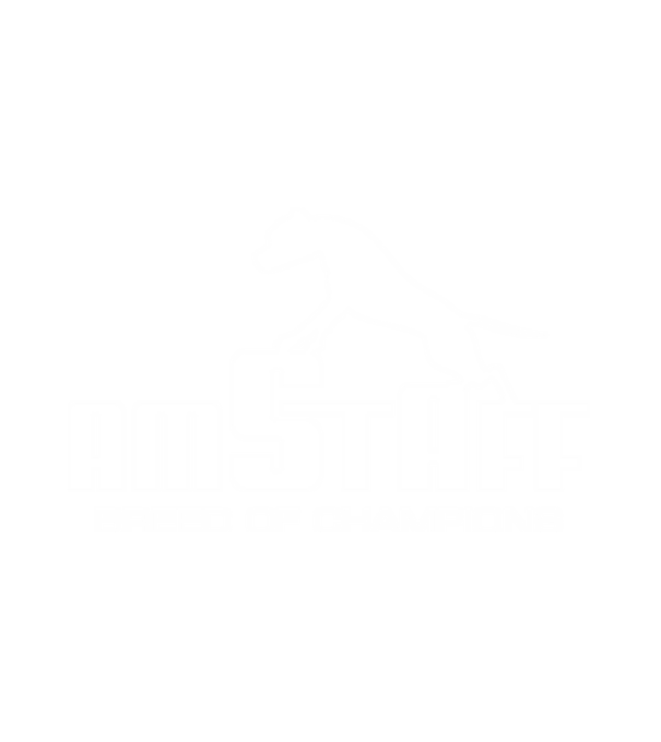 Amstaff Breed of Champions minta fehér pólón