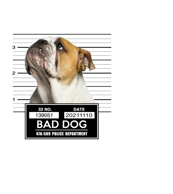 Angol Bulldog - Bad Dog minta fekete pólón