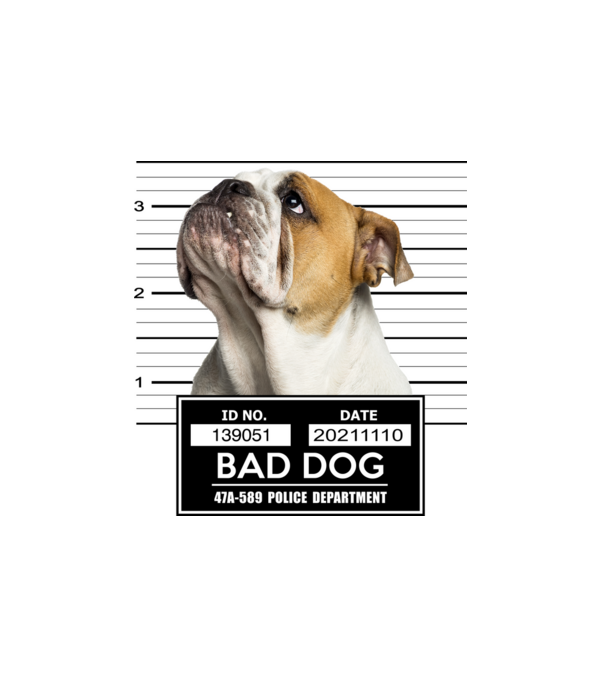 Angol Bulldog - Bad Dog minta fehér pólón
