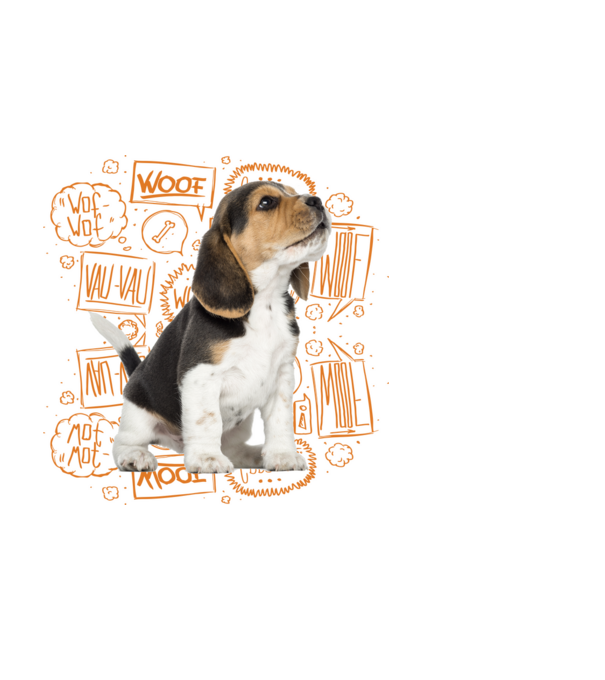 Beagle minta fekete pólón