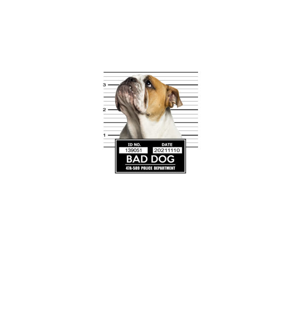 Angol Bulldog - Bad Dog minta fehér pólón