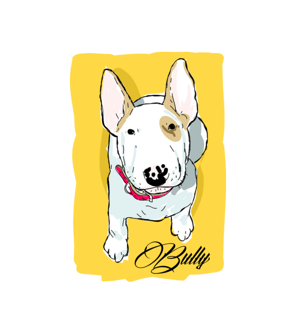 Bullterrier minta fehér pólón