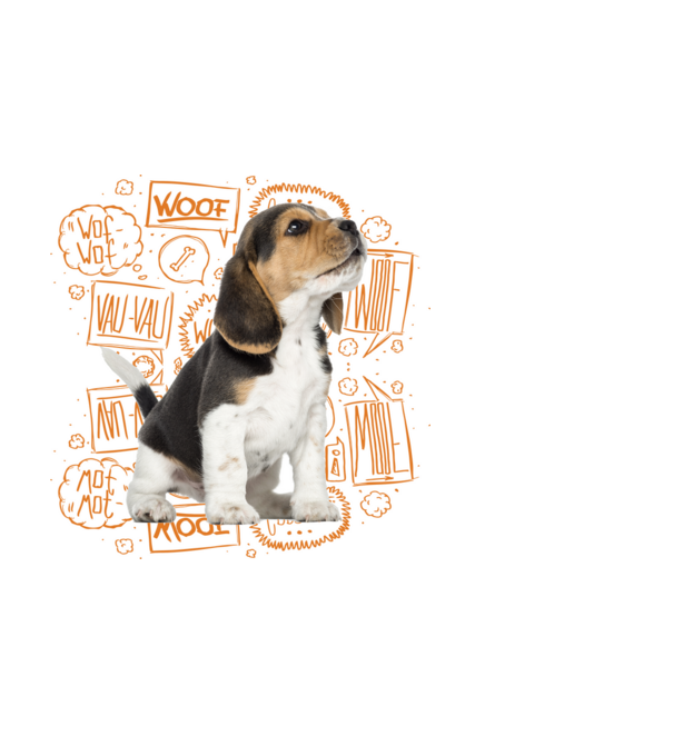 Beagle minta fehér pólón