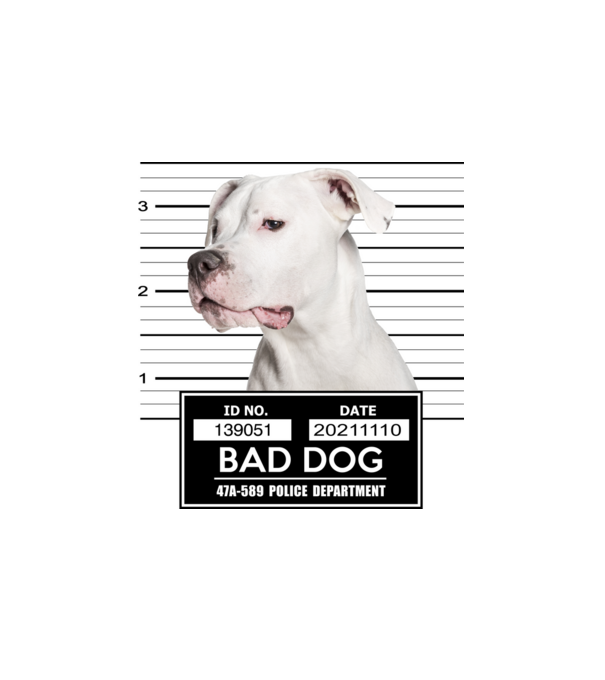 Argentin Dog - Bad Dog minta fehér pólón
