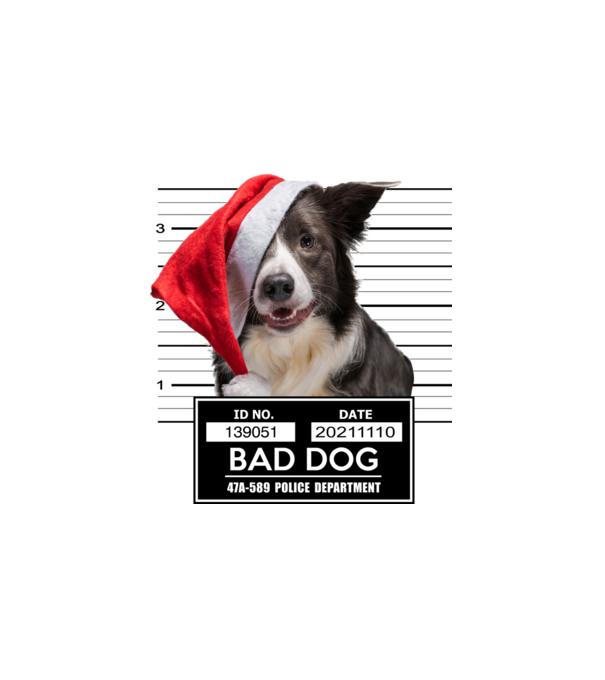 Border Collie - Bad Dog minta fehér pólón