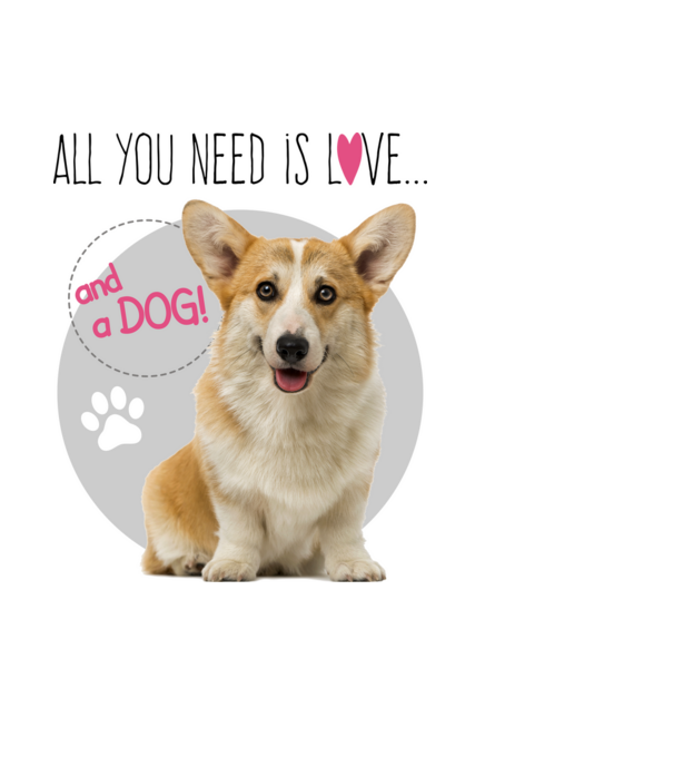 Welsh corgi pembroke minta fekete pólón