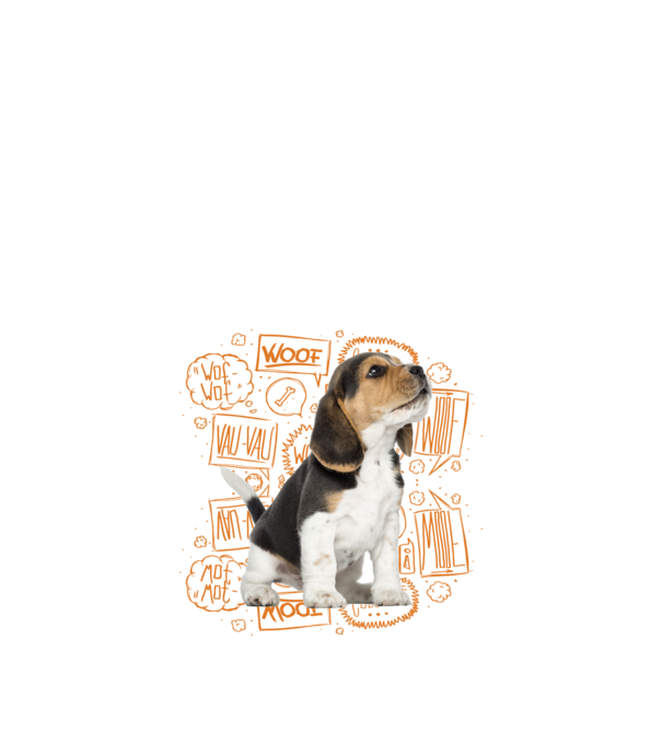 Beagle minta fehér pólón