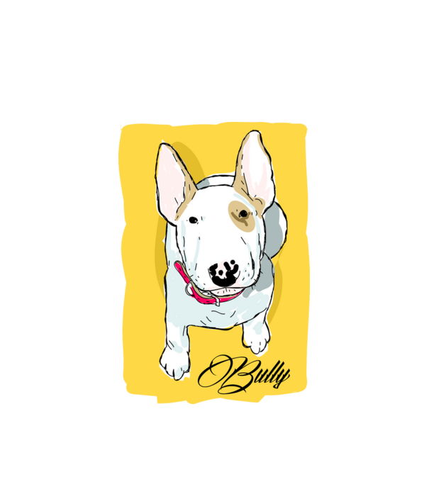 Bullterrier minta fehér pólón