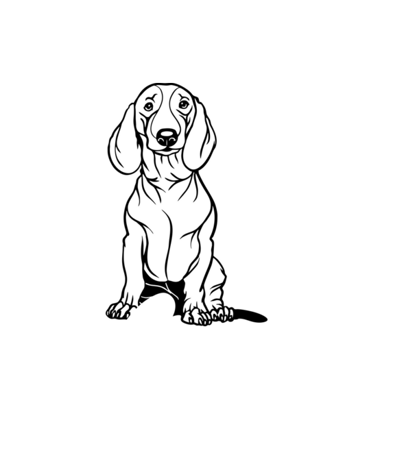 Tacskó Love minta világoskék pólón