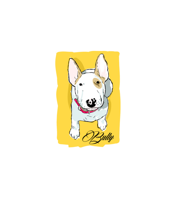 Bullterrier minta fehér pólón