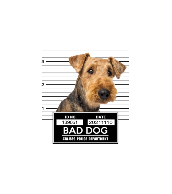 Airedale terrier - Bad Dog minta fehér pólón