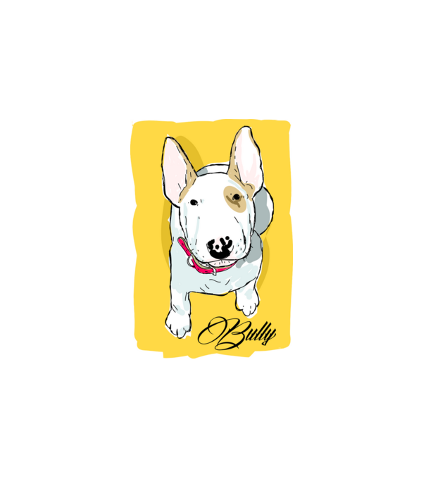 Bullterrier minta fehér pólón