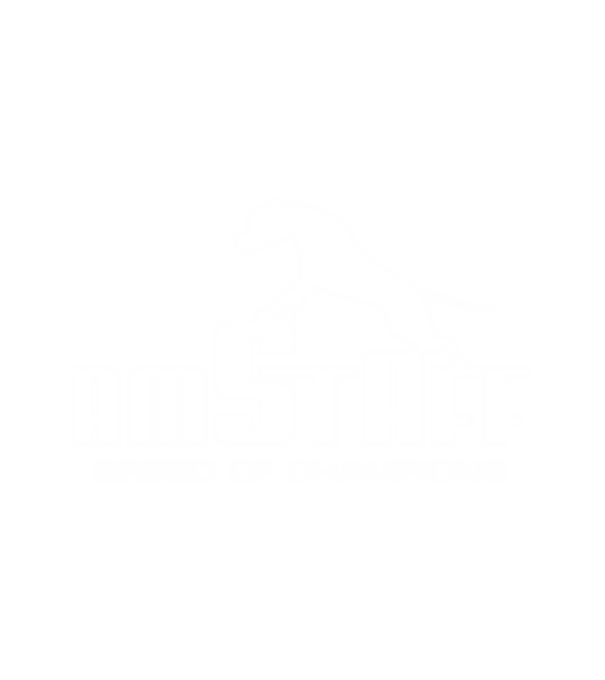 Amstaff Breed of Champions minta fehér pólón