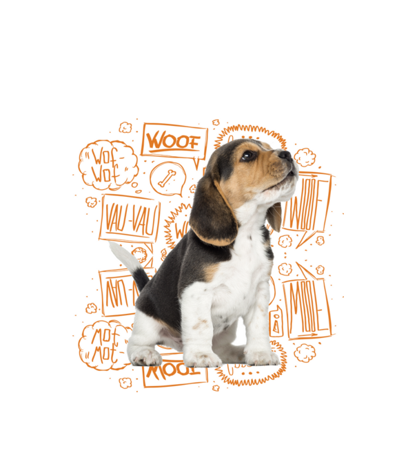 Beagle minta fehér pólón