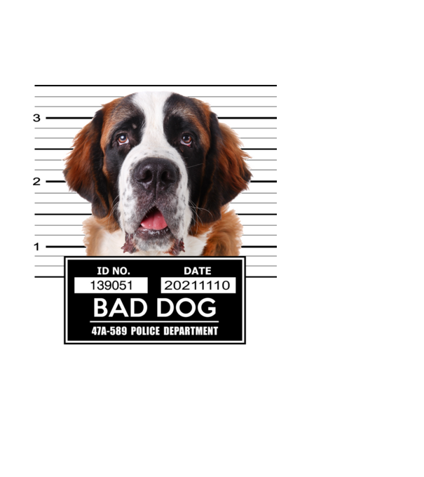 Bernáthegyi - Bad Dog minta világoskék pólón