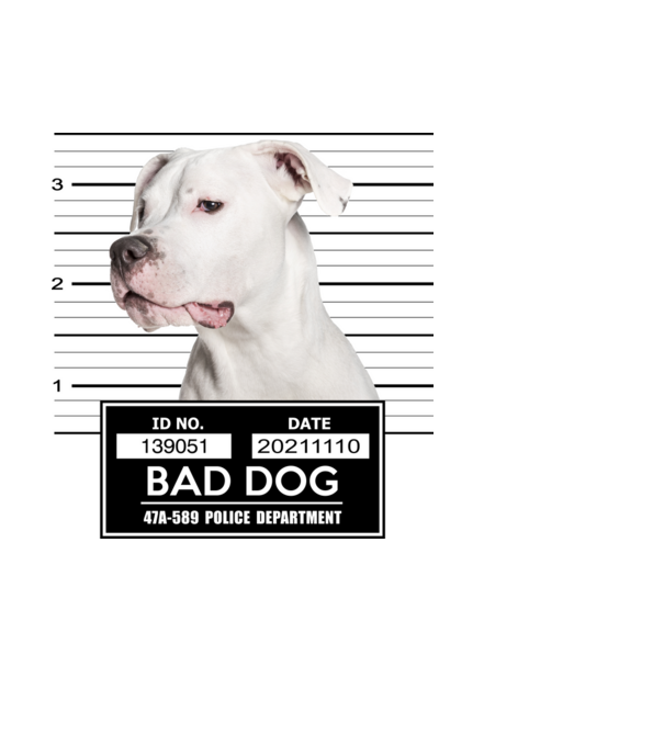 Argentin Dog - Bad Dog minta világoskék pólón