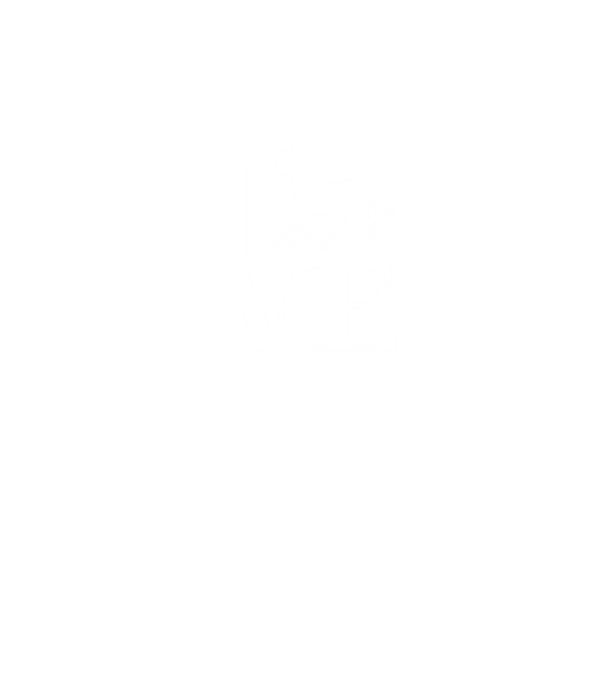 Lovas minta minta szürke pólón