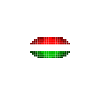 HUNGARY WHITE minta fekete pólón