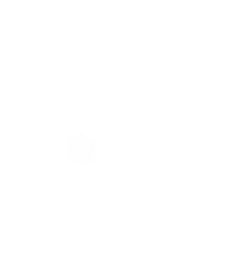 hungarikum since 1967 best of the year, magyar címer minta fehér pólón