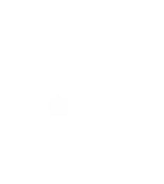 hungarikum since 1995 best of the year, magyar címer minta fekete pólón