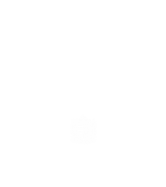 hungarikum since 1993 best of the year, magyar címer minta fekete pólón