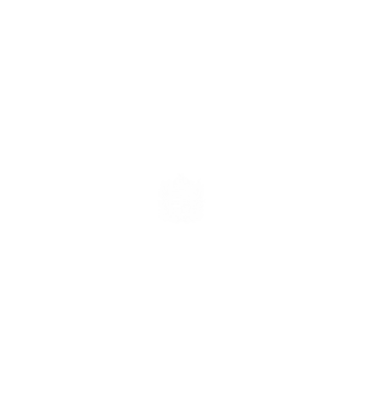 hungarikum since 1960 best of the year, magyar címer minta fekete pólón