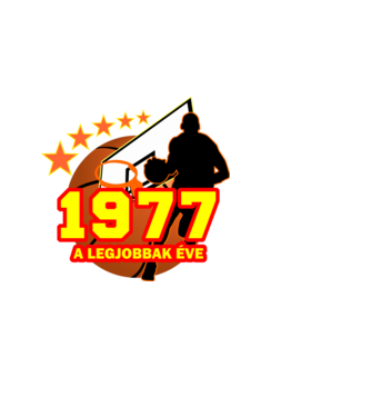 legjobbak éve 1977, kosárlabdás szülinap minta fekete pólón