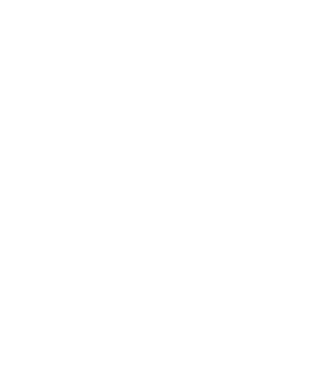 SZÜLETETT MAGYAR, ISTEN HAZA CSALÁD, SZÜLETETT 1953-BAN, MAGYAR CÍMER minta fekete pólón