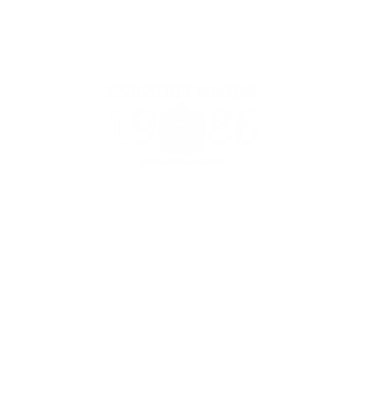 SZÜLETETT MAGYAR, ISTEN HAZA CSALÁD, SZÜLETETT 1986-BAN, MAGYAR CÍMER minta fekete pólón