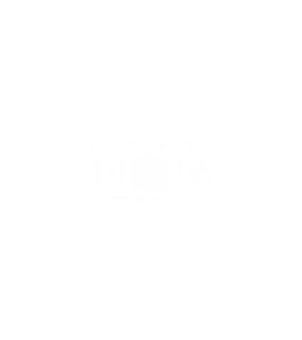 SZÜLETETT MAGYAR, ISTEN HAZA CSALÁD, SZÜLETETT 1956-BAN, MAGYAR CÍMER minta homokszín pólón