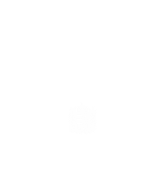 hungarikum since 1971 best of the year, magyar címer minta fehér pólón