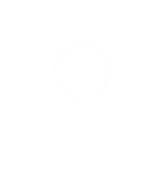 A.D. anno domini 1977 minta fekete pólón