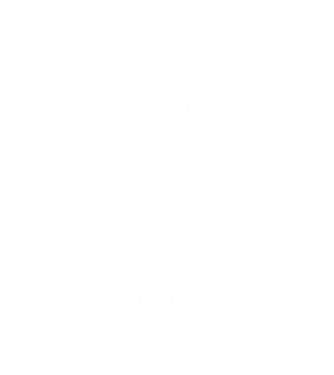 A.D. anno domini 1977 minta fehér pólón